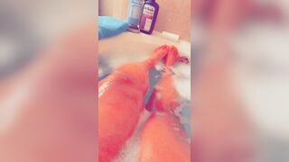 BathTime 02
