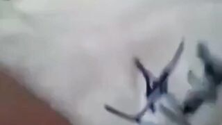 Young Anal Virgin Fucked Hard In Ass - FuckMyAss.webcam
