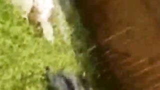 Amateur Couple Making Sweet Love