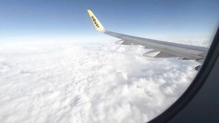 Public Airplane Blowjob