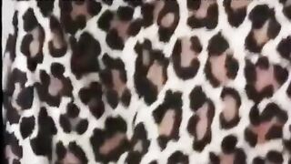 DP Anal Expert