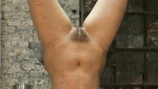 Suspended upside down and bullwhipped