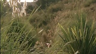 SUECA BISEXUAL NECESITA SEMENTAL