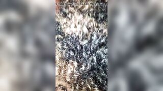 black beauty sucking dick