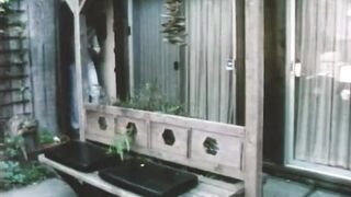 HD VIDEO 66