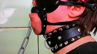 mini dick and balls tied up for this pile
