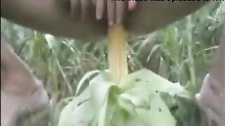 Khet men bhutta sexy chudai 3