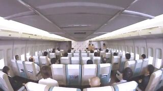 sexy air hostess