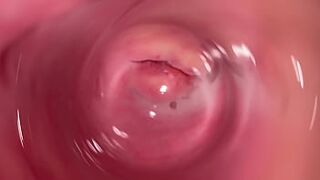 Internal camera inside tight creamy Vagina, Dick's POV