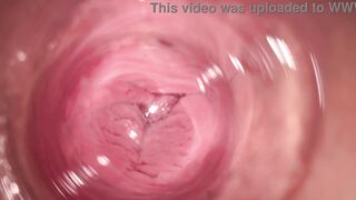 Internal camera inside tight creamy Vagina, Dick's POV