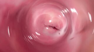 Internal camera inside tight creamy Vagina, Dick's POV