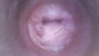 DildoCam – Thin Brunette Showing Her Dry Vagina Cervix Deep