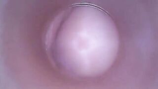 DildoCam – Thin Brunette Showing Her Dry Vagina Cervix Deep