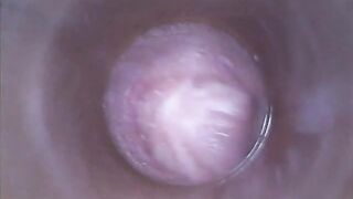 DildoCam – Thin Brunette Showing Her Dry Vagina Cervix Deep