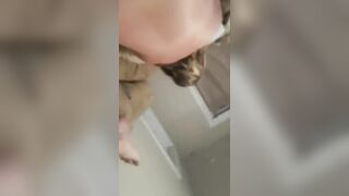 Milf getting fucked on the couch