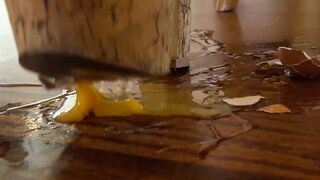 Hot Milf Food Crushing