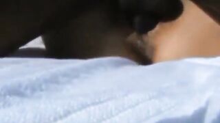 Hotwife gets poolside BBC creampie