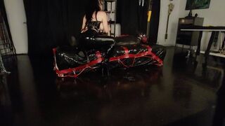 Cock sitting and slaping inside bag