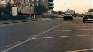 Sessualita Bestiale