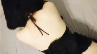 Un black se tape un caniche