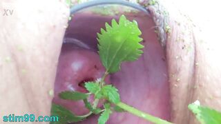 Extreme female inserting nettles into cervix and rod flowers