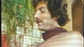 Kay Parker Collection #6