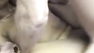 Indian Mandy Facial Humilation