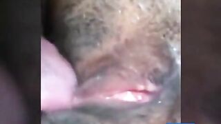 Eating Pussy At It's Best