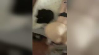 Big booty ass white bitch