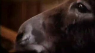 --redlighttv-0032 05