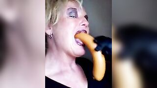 Schweine-Sau