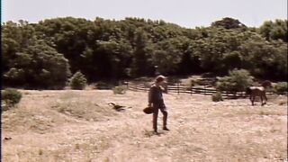 Amber's Desires (1985)