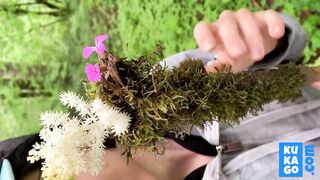 flowers and dick for nerdy faery