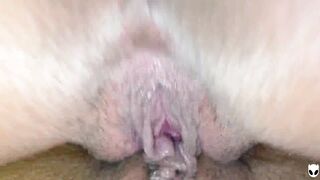 Rubbing my Tits on Pussy and Horny Clit to Clit Tribadism
