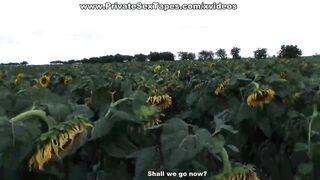 Man fucking his cute amateur girlfriend among sunflowers