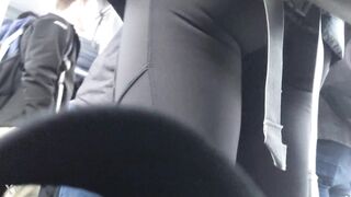 Bus Booty
