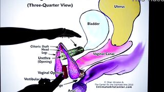 How to Squirt! Explained FAST!