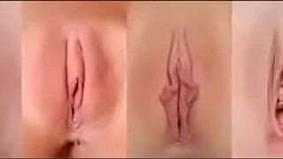 Several pussy cute