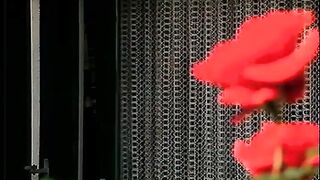Herzog Videos classic porn video wiener glut
