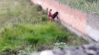Busty Girl Outdoor Doggy Banged