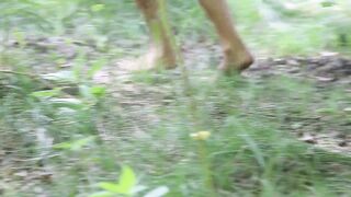 t. outdoors part 7, 8, 9