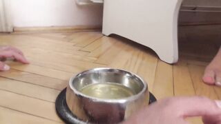 Femdom Brat Girls humiliate slaves with feeding