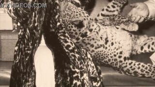 Vintage Babes With Pets