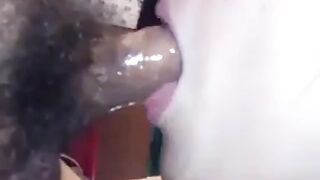 Sloppy Chinese Swallows