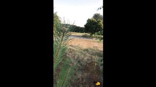 Quick outdoor blowjob with final in mouth