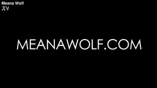 The Maid - Meana Wolf