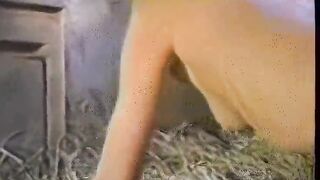 Blonde Fucked in Barn