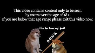 Pink Babes on Parade Video Archive Vol.1
