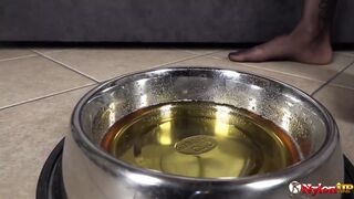 Playful tattooed ebony girl Glorya loves pissing and spitting in a bowl
