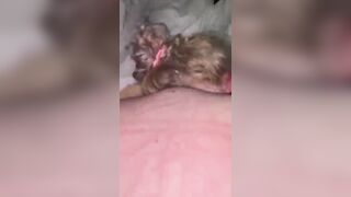 I’m sorry my love. Let me please suck you’re cock